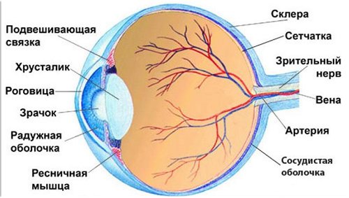 Как диабет влияет на глаза