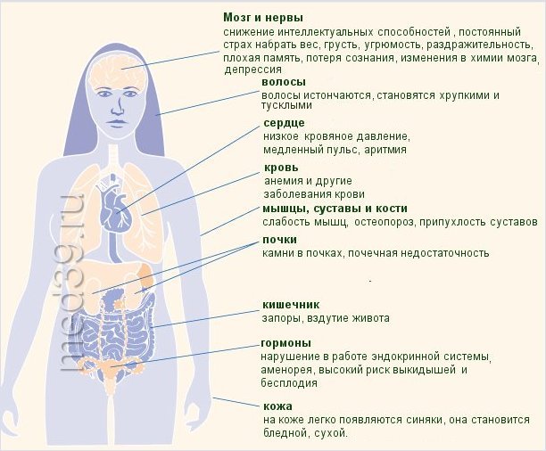 Влияние анорексии на органы