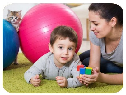 Домашняя школа развития