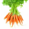лечебные свойства моркови
