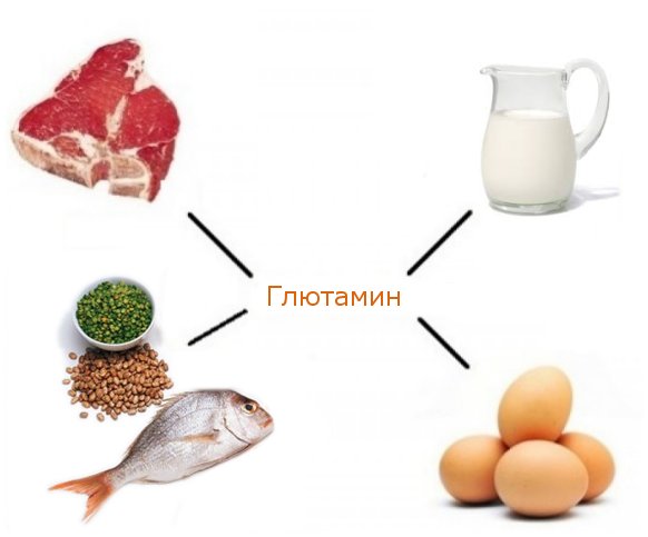 Глютамин в продуктах