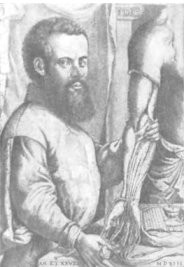 Андрей Везалий