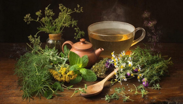 лечение геморроя травами