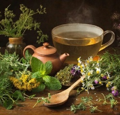 Геморрой. Лечение травами