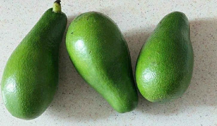 авокадо польза